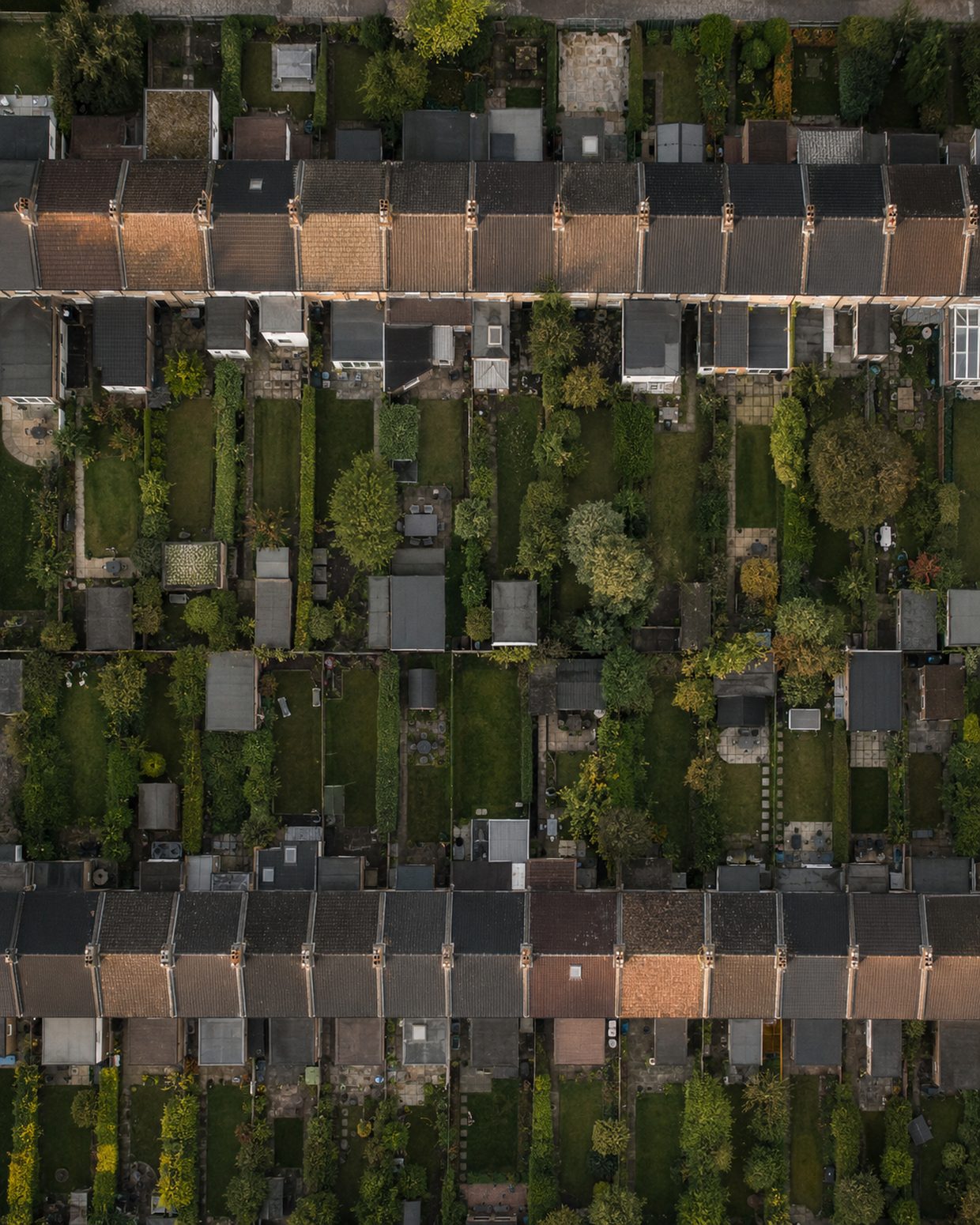 Aerial view of rows of terraced houses and their gardens